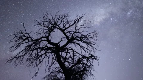 Milky way time lapse Stock Footage 58508503