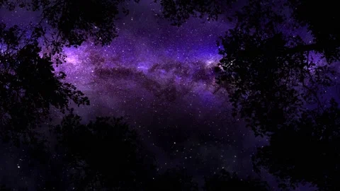 Milky Way Time Lapse Stock Footage 139620241