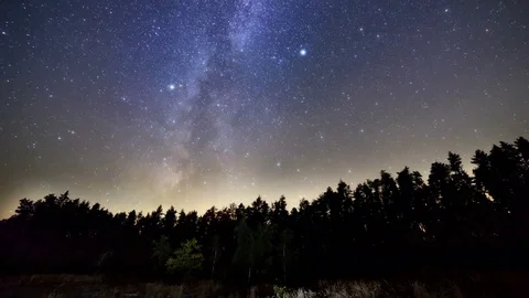 Milky Way Time Lapse Over The Pine Forest Video stock 84140945