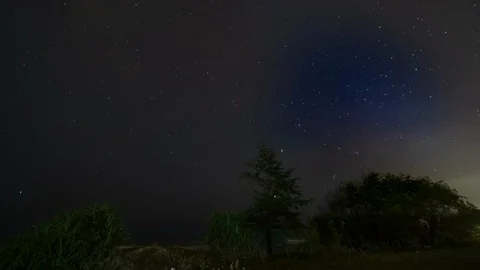 Milky way time lapse scene at beach side with trees as foreground Stock Footage 107347877