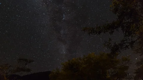 Milky way time lapse trees and forward motion. Stock Footage 43656755