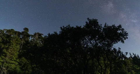 Milky way time lapse with trees Stock Footage 165242009