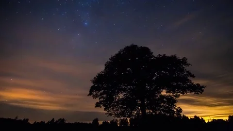 Milky way timelapse Stock Footage 76453651