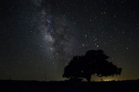 Milky Way with tree in shadow Fotos Stock