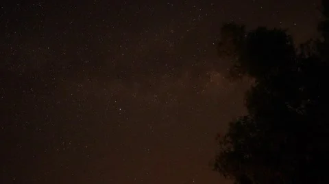 Milky way tree zoom Stock Footage 53038293