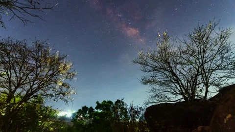 Milky wya Timelapse over trees Stock Footage 309201665