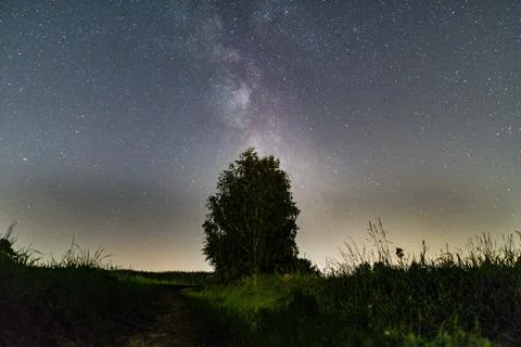 Milkyway with lonley tree Stock Photos