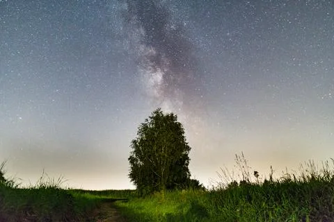Milkyway with lonley tree Stock Photos
