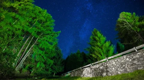 Milkyway over pine trees timelapse Video stock 62775947