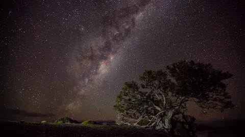 Milkyway Rangipo Desert New Zealand Primal Earth Images Stock Footage