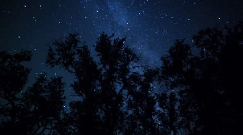 Milkyway Time-Lapse Through Trees Vídeos de archivo 31821630