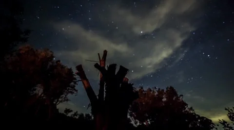 Milkyway Time-Lapse Tree Trunk And Clouds Stock Footage 31821634