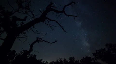 Milkyway Time Lapses - Tree Vídeos de archivo 27256715