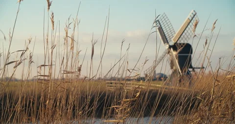 Mill in background of reeds Vídeos de archivo 236629563