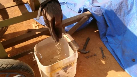 Mill coffee Stock Footage 159089997