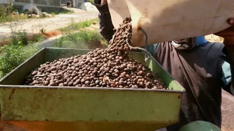 Mill coffee Stock-Footage 159091103