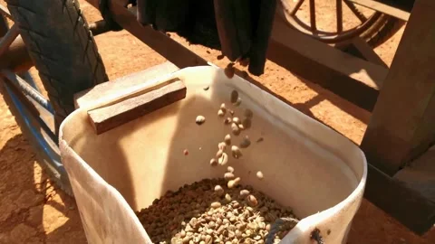 Mill coffee Stock Footage 159091338