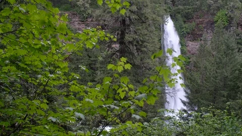 Mill Creek Falls, Prospect State Park, Oregon Stock Footage 108884150