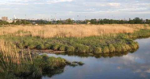 Mill Creek Park Secaucus Stock Footage 88216591