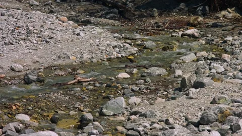 Mill Creek at Valley of the Falls Stock Footage 272499243