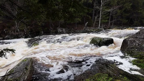 The Mill Falls and River in Nova Scotia Canada Stock Footage 124580132