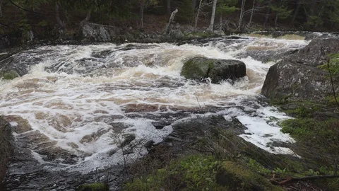 The Mill Falls and River in Nova Scotia Canada Stock Footage 124580531