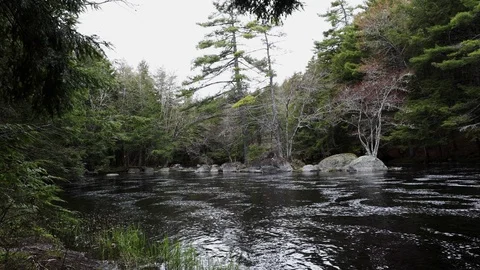 The Mill Falls and River in Nova Scotia Canada Stock Footage 124581509