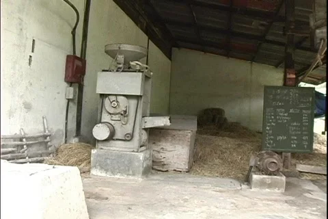 Mill Stock Footage 302668