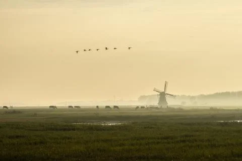 Mill in the landscape Stock Photos