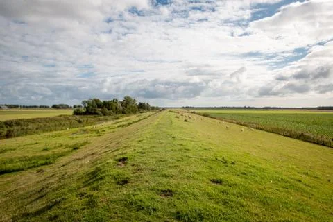The mill polder in Groningen Foto stock