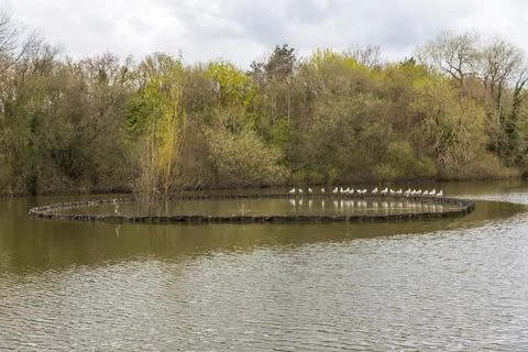 Mill Pond Foto stock