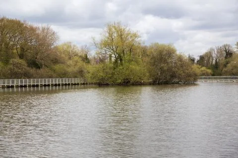 Mill Pond Stock Photos