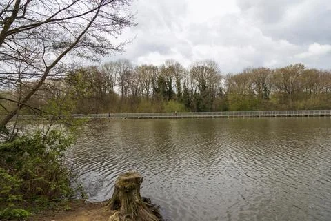 Mill Pond Foto stock