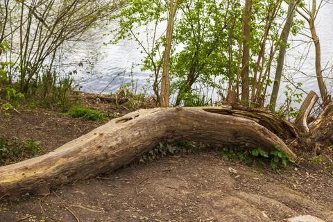 Mill Pond Foto stock