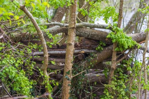 Mill Pond Stock Photos