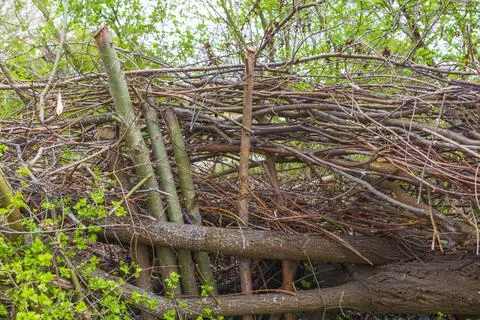 Mill Pond Stock Photos