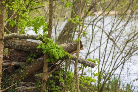 Mill Pond Stock Photos