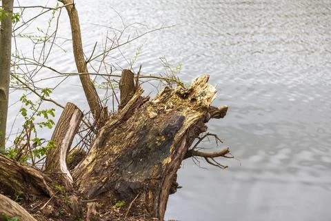 Mill Pond Stock Photos