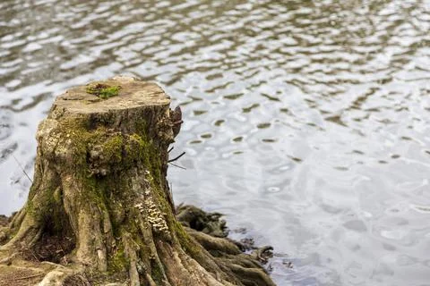 Mill Pond Stock Photos