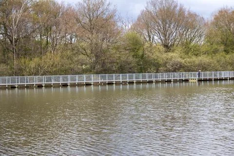 Mill Pond Stock Photos