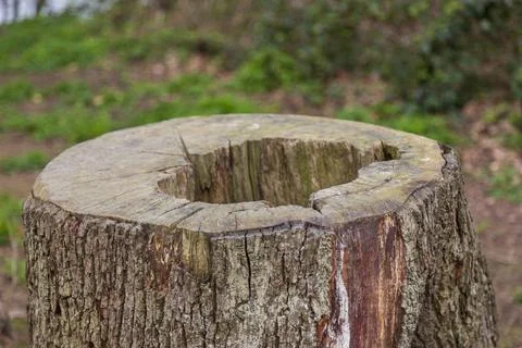 Mill Pond Foto stock