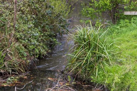 Mill Pond Foto stock