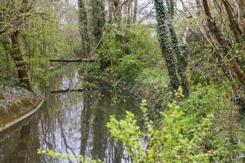 Mill Pond Stock Photos