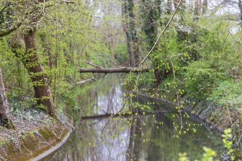 Mill Pond Foto stock