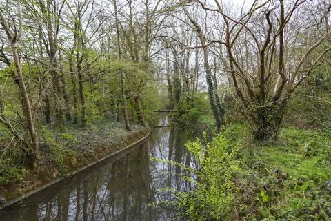 Mill Pond Stock Photos