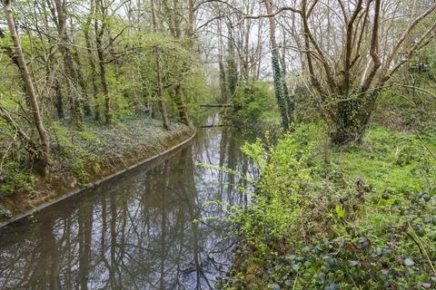 Mill Pond Stock Photos
