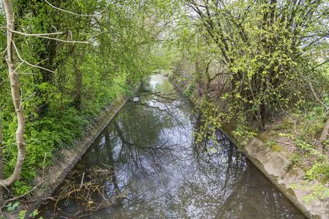 Mill Pond Stock Photos