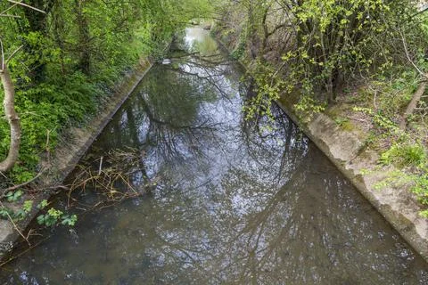 Mill Pond Stock Photos