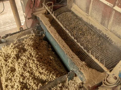 Mill processing sugar cane industry Foto stock