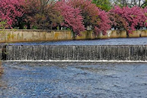 Mill River Dam Nature Setting Stock Photos